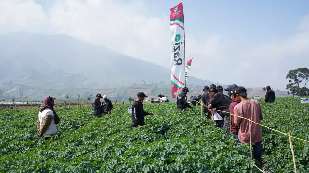 MENDAMPINGI SEPENUH HATI : Melalui demplot, sekolah lapang, dan layanan digital, PT Petrokimia Kayaku turun langsung mendampingi petani mengoperasikan agrokimia secara aman, tepat, dan efisien hingga Teknologi Petrokimia Kayaku terbukti nyata mendampingi petani melewati masa-masa kritis sampai panen raya. (IST/ RADAR GRESIK)