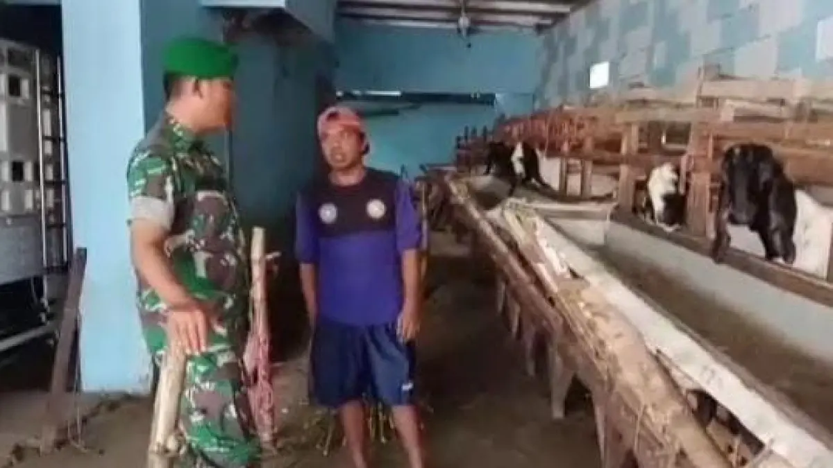 PETERNAK: Babinsa Serka Budi saat mendampingi dan berdialog bersama peternak kambing di Desa Kedamean, Kecamatan Kedamean, Gresik. (Foto : Fajar/Radar Gresik) 