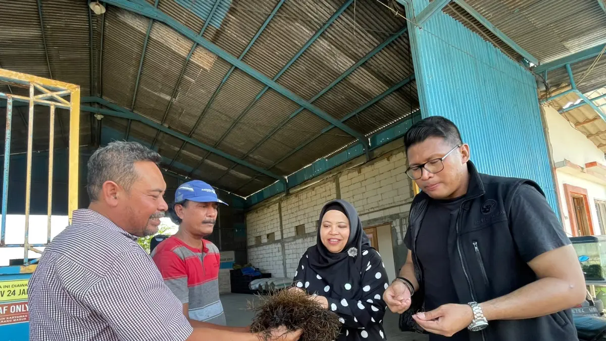 Anggota Komisi II DPRD Gresik, Ricke Mayumi saat mengunjungi petani tambak di Desa Pangkahkulon, Kecamatan Ujungpangkah. (Foto : Ist/Radar Gresik) 