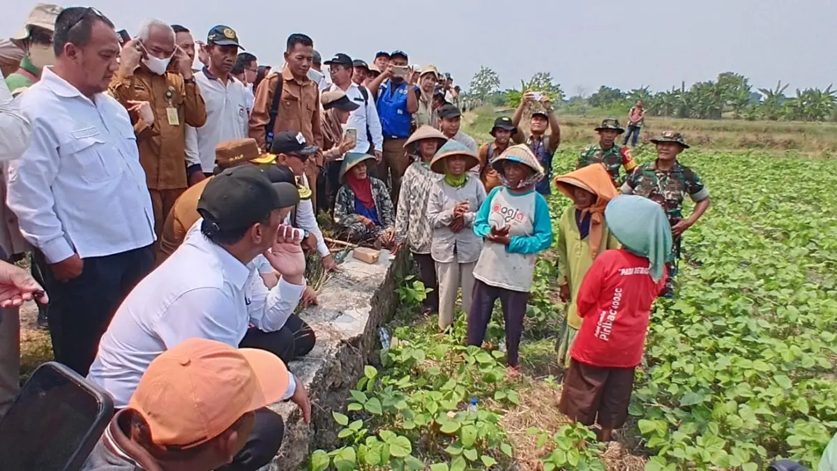TURUN : Mentan Republik Indonesia, Andi Amran Sulaiman saat turun dan sapa langsung para petani. (Foto : Ist/Radar Gresik) 
