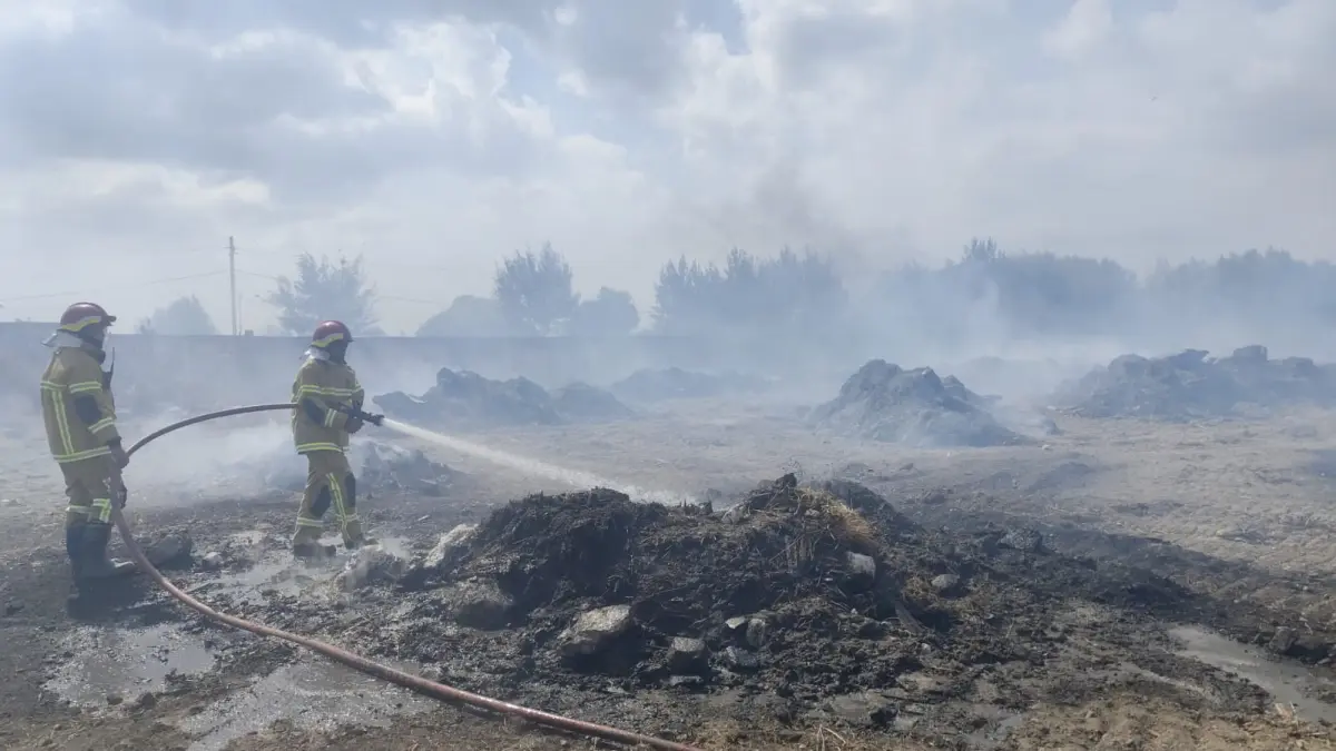PEMADAMAN: Petugas Damkar Gresik saat melakukan pemadaman tumpukan sampah kayu di Area PT Citra Abadi Bosco Jalan Raya Banyuwangi, Kecamatan Manyar, Gresik. (Foto: Istimewa/Radar Gresik)