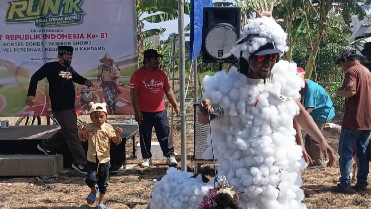 UNIK: Salah satu peserta saat menampilkan kreativitas dengan mengenakan kostum unik bersama domba peliharaannya. (Foto: Fajar/Radar Gresik)