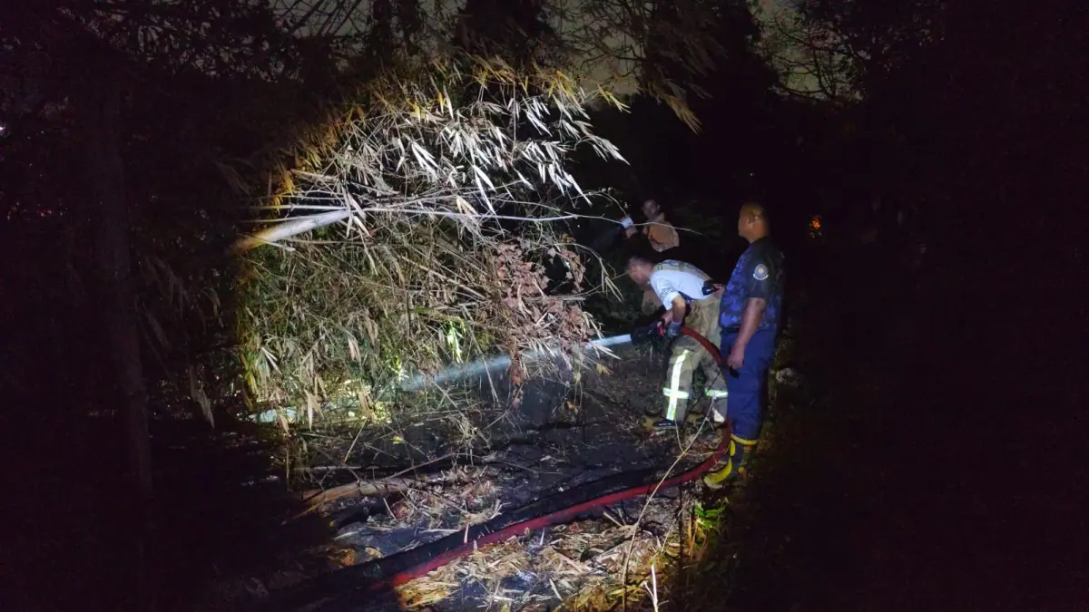 PEMADAMAN : Petugas Damkar Gresik saat melakukan pemadaman kebakaran di area lahan kosong dekat tanaman bambu di belakang pabrik CV Almenta, Desa Gulomantung, Kecamatan Kebomas, Gresik. (Foto : Ist/Radar Gresik) 