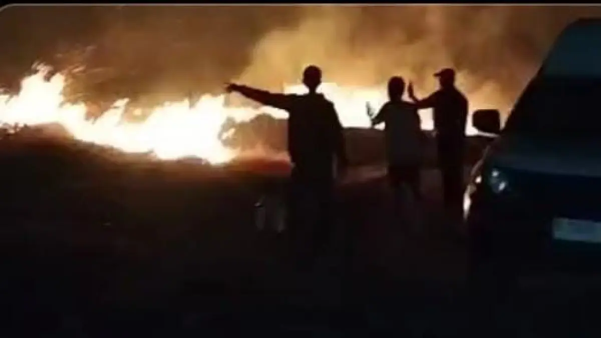 TERBAKAR : Kebakaran melanda area rumput alang-alang di dekat gudang kawasan PT B.I.P, Jalan Raya Melirang, Desa Melirang, Kecamatan Bungah, Gresik. (Foto : Ist/Radar Gresik) 