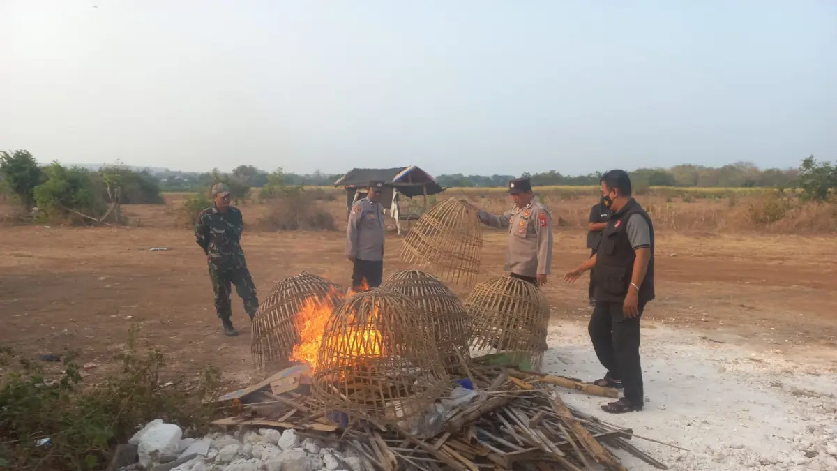 DIBAKAR: Personel Polsek Sidayu dan Koramil Sidayu memusnahkan kurungan ayam saat menertibkan lokasi yang diduga menjadi arena judi sabung ayam di wilayah Kecamatan Sidayu, Gresik. (Foto : Ist/Radar Gresik) 