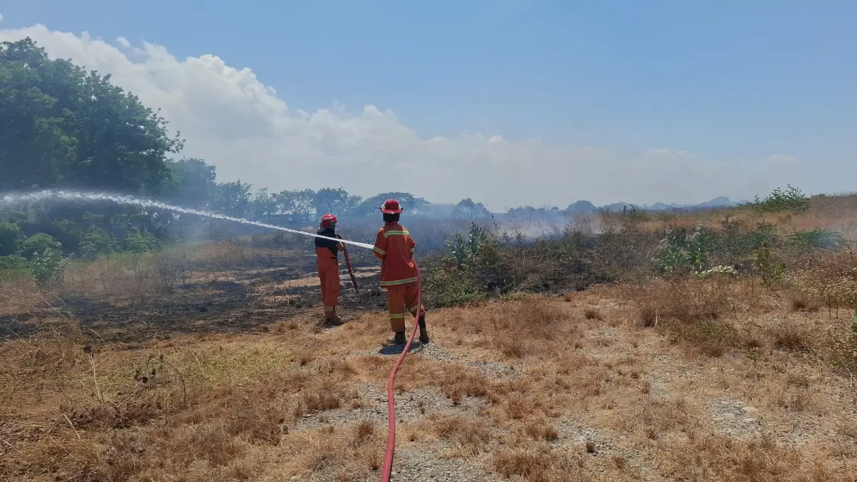 PEMADAMAN : Petugas Damkar Gresik sat melakukan pemadaman di lahan kosong di sekitar PT Suri Tani Pemuka, Desa Banyuwangi, Kecamatan Manyar, Gresik. (Foto : Ist/Radar Gresik)