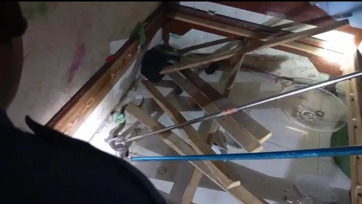 EVAKUASI: Petugas Damkarla Gresik mengevakuasi ular cobra yang ditemukan di bawah tempat tidur warga Desa Mriyunan. (Foto : ist/Radar Gresik)