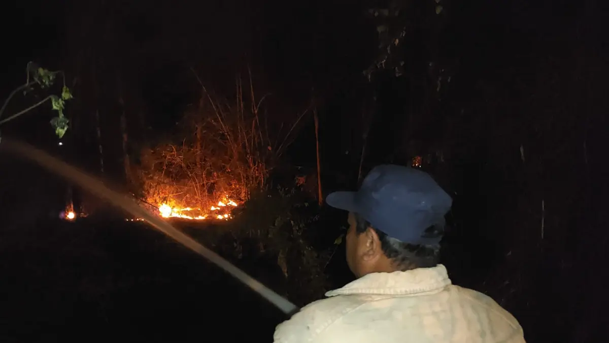 PEMADAMAN : Petugas Damkar Gresik saat melakukan pemadaman kebakaran di hutan Jati di Desa Prupuh, Kecamatan Panceng, Gresik. (Foto : Ist/Radar Gresik)