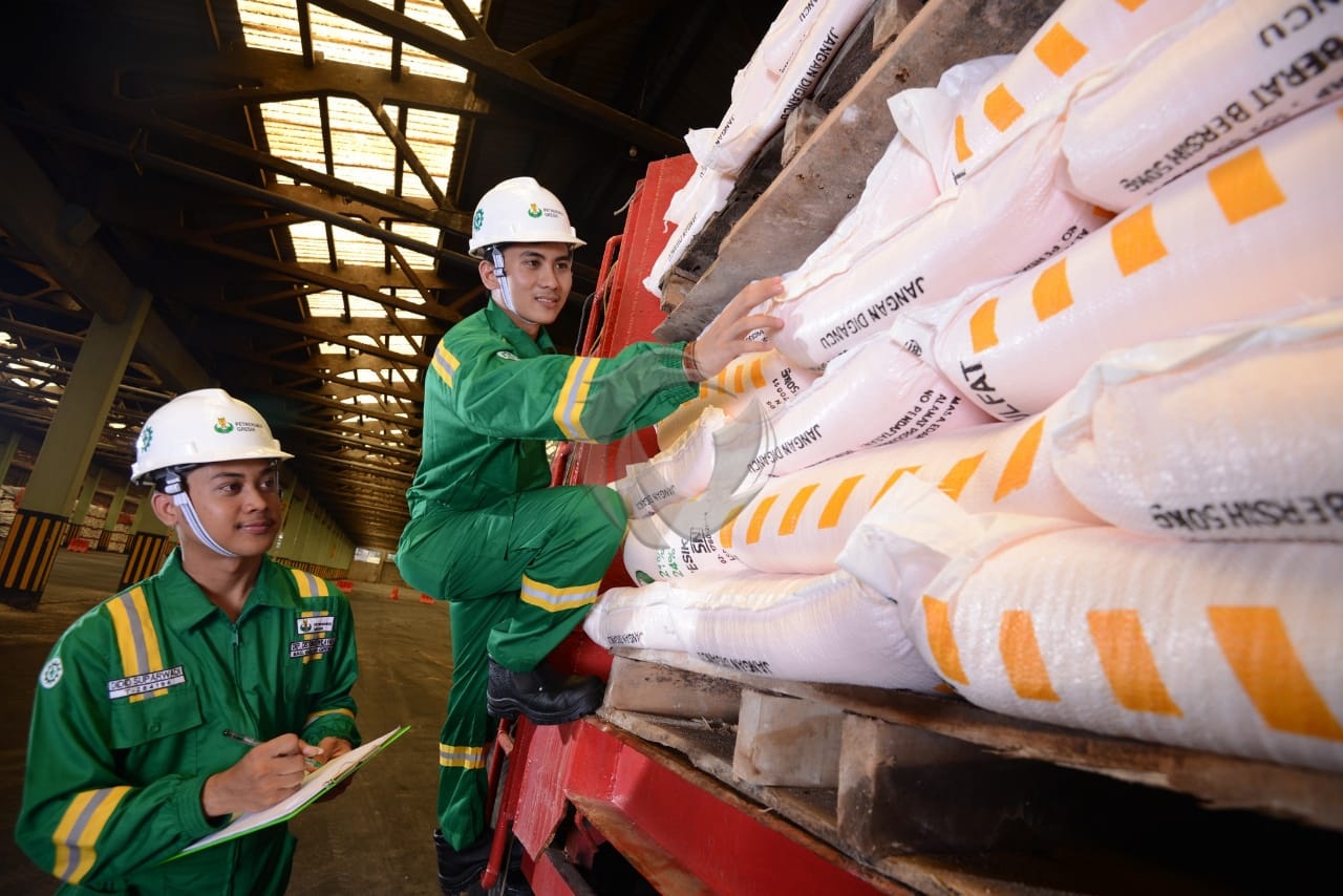 Pegawai PG sedang memeriksa muatan truk yang membawa pupuk untuk didistribusikan ke distributor. (Dok/Radar Gresik)