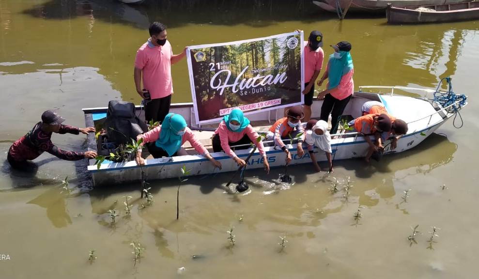 CINTA ALAM: Dengan menggunakan perahu siswa dan guru SDN 19 gresik menanam mangrove (Dok/Radar Gresik)