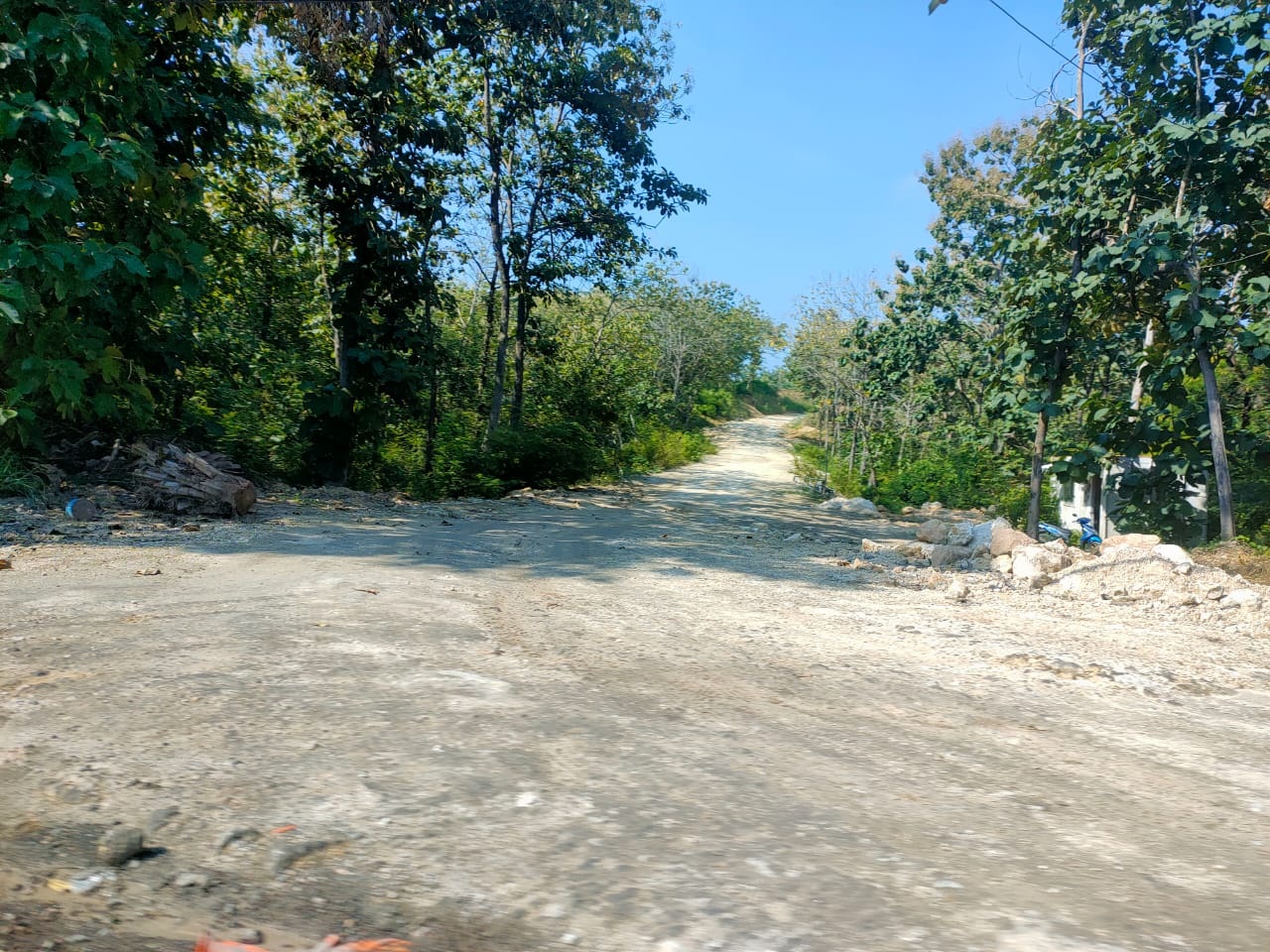 TERBUKA : Kondisi Jalan menuju area tambang galian C di Kecamatan Panceng yang melalui tanah perhutani terlihat terbuka menjadi jalan lalu lalang truk galian C di Kecamatan Panceng. (Istimewa/Radar Gresik)