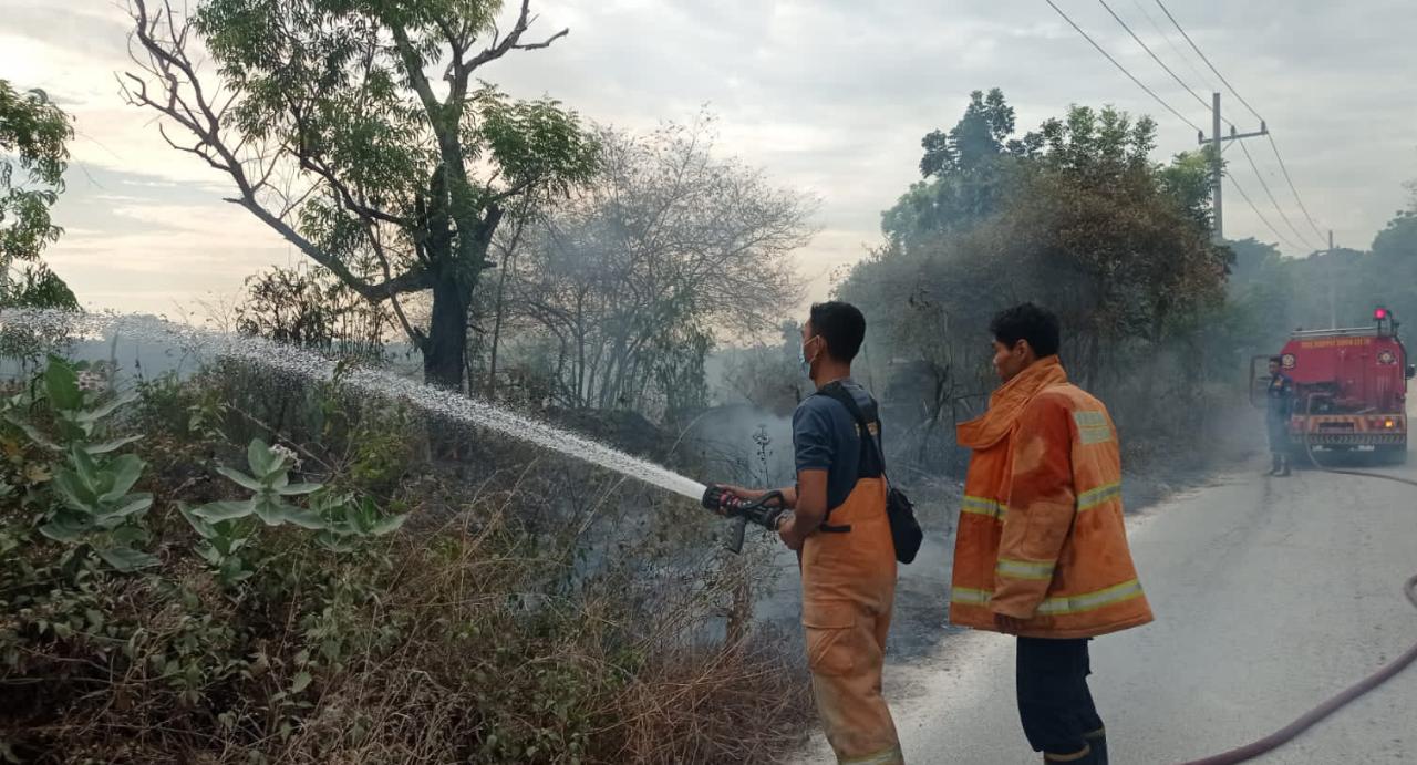 PEMADAMAN: Anggota Damkar Gresik melakukan pemadaman kebakaran lahan kosong yang dipenuhi ilalang di Jalan Walet, Desa Kembangan Kecamatan Kebomas (Yudhi/Radar Gresik)