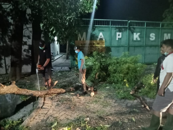 DIPOTONG : Warga sedang memotong pohon yang tumbang usai tersapu angin di wilayah Kecamatan Cerme. (Istimewa/Radar Gresik )