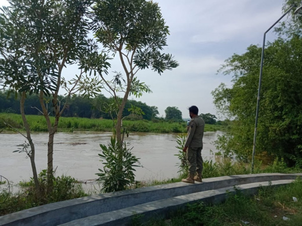 PANTAU KETINGGIAN: Salah satu personil trantib Kecamatan ikut melakukan pemantauan ketinggian debit air kali lamong yang mulai naik.(Firman/Radar Gresik)