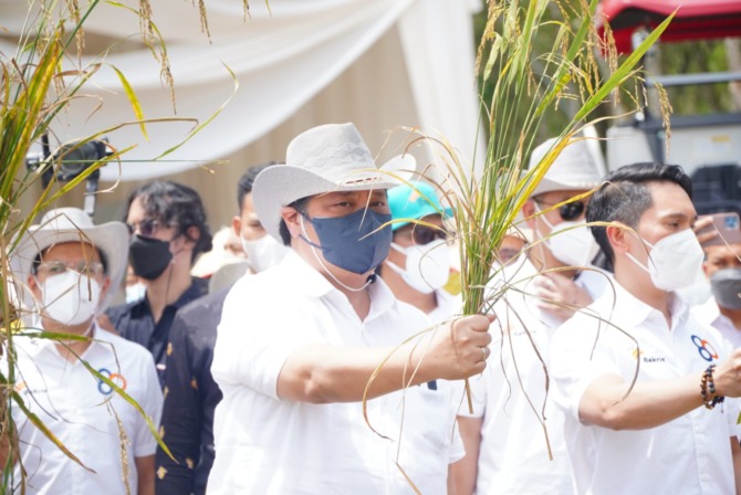 PANEN PADI: Koordinator Bidang Perekonomian Airlangga Hartarto saat panen perdana Padi Gogo pada Proyek Penelitian Padi Gogo milik PT Huma Indah Mekar (HIM) di Kabupaten Tulang Bawang Barat, Provinsi Lampung. (ISTIMEWA/RADAR GRESIK)