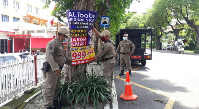 BODONG: Anggota Satpol PP Gresik menurunkan spanduk atau reklame yang dipasang di pohon. (FAJAR/RADAR GRESIK)