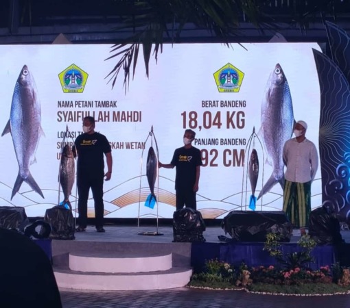 Kontes bandeng kawak di Alun-Alun Kota Gresik pada Kamis (28/4) malam tergelar. (ISTIMEWA/RADAR GRESIK)