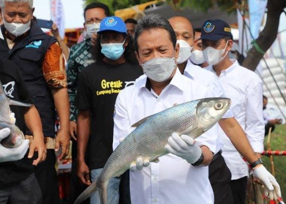 PRODUKTIVITAS NAIK: Menteri Kelautan dan Perikanan Sakti Wahyu Trenggono menunjukkan ikan bandeng kawak di sela-sela kunjungannya di Desa Pangkahwetan. (Dok/Radar Gresik)