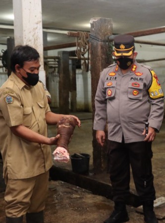DIPOTONG : Pegawai RPH saat menunjukan kaki sapi yang di potong akibat terkena penyakit kuku. (Ist./Radar Gresik)