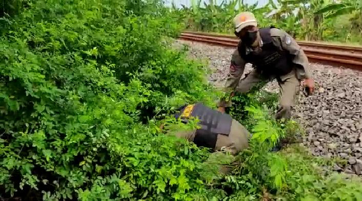 RAZIA : Petugas Satpol PP saat melakukan razia warung menemukan miras yang disembunyikan di dalam semak - semak dan mengamankan emapat pramusaji di sepanjang Jalan Raya Duduksampeyan. (Yudhi/Radar Gresik)