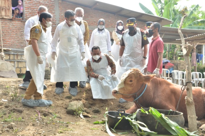 DILARANG JUALAN: Pemkab memutuskan tahun ini tidak ada penjualan hewan kurban di pinggir jalan. (dok/radar gresik)