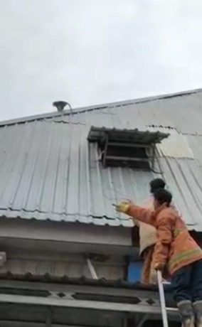 Berusaha Ditangkap : Monyet lepas menghantui pengunjung Bandar Grissee. (Ist./Radar Gresik)