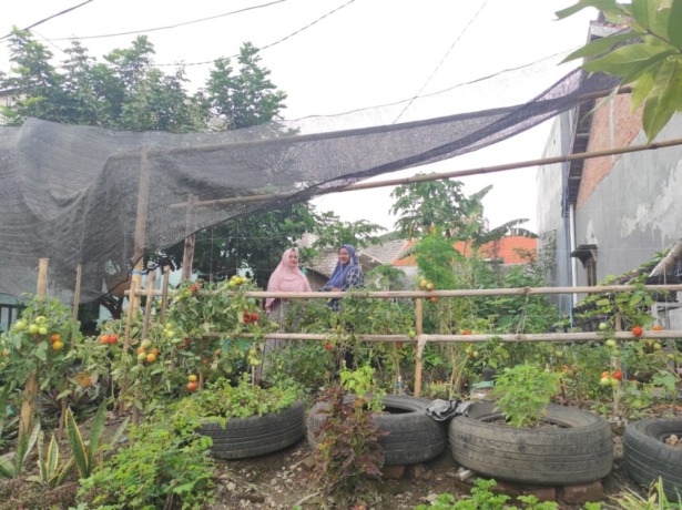 PEMANFAATAN LAHAN KOSONG: Warga Gunungsari Desa Ngargosari Kecamatan Kebomas mengubah pekarangan sampah menjadi tempat berkebun dan budidaya ikan lele. (Ist./Radar Gresik)