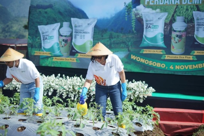 INOVASI : Direktur Operasi dan Produksi Petrokimia Gresik, Digna Jatiningsih di memeriksa tanaman tomat yang menggunakan pupuk alternatif. (Ist./Radar Gresik)