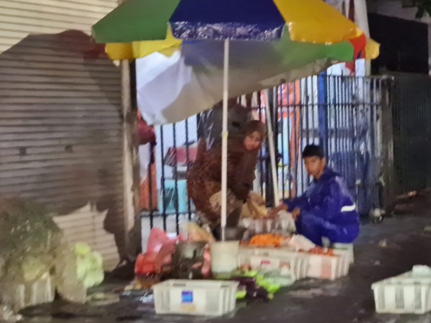 BEBAS: PKL liar yang menggelar lapaknya di Jalan Usman Sadar bebas berjualan tanpa takut ditertibkan. (Dok/Radar Gresik)