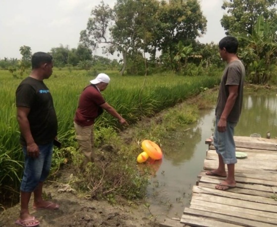 OLAH TKP: Anggota Polsek Benjeng melakukan oleh TKP di tempat kejadian Korban MFF meninggal diduga tenggelam saat berenang di blumbang belakang rumahnya di Desa Kedungrukem, Kecamatan Benjeng. (Ist/Radar Gresik)