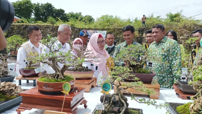 MENINJAU: Wabup Gresik Aminatun Habibah didampingi Kadispertan Gresik Eko Anandito saat melihat langsung koleksi bonsai milik para peserta. (ISTIMEWA/RADAR GRESIK)
