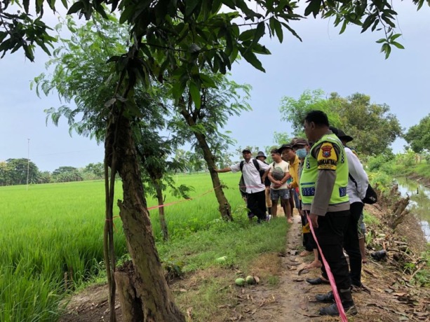 OLAH TKP : Anggota Polsek Dukun saat melakukan olah TKP di area persawahan di Desa Tiremenggal, Kecamatan Dukun. (Ist/Radar Gresik)