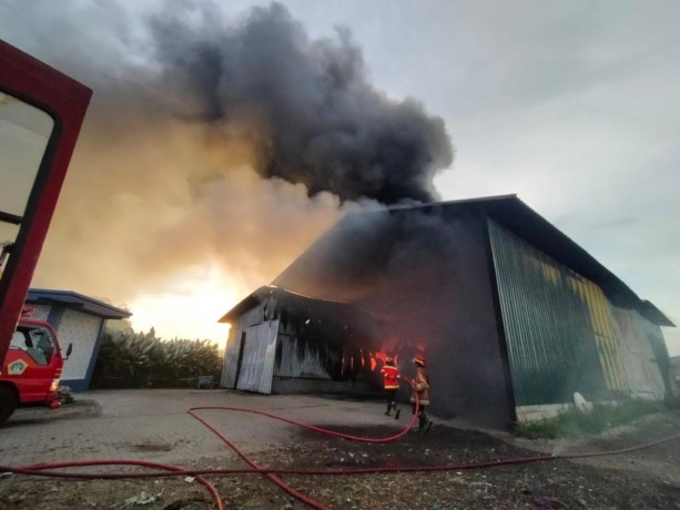 MENGEPUL: Petugas Pemadam Kebakaran dan Penyelamatan (Damkarla) Pemkab Gresik berjibaku memalukan pemadaman gudang plastik yang terbakar. (istimewa/radar gresik)