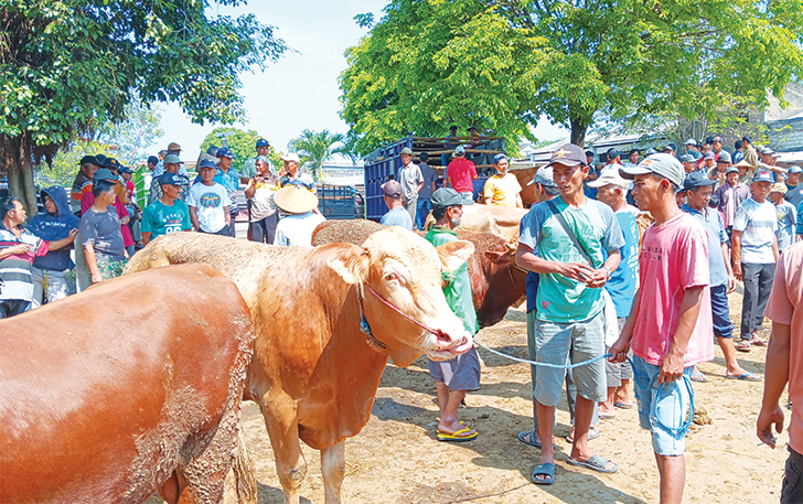AMAN: Sejumlah ternak sapi yang diperjualbelikan di Pasar Hewan Jatinom, Klaten, beberapa waktu lalu. Seiring kasus antraks, harga sapi tetap stabil. (ANGGA PURENDA/RADAR SOLO)