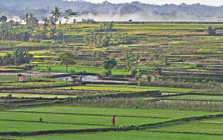 MENAWAN: Persawahan terasering di Desa Dlingo, Kecamatan Mojosongo, Kabupaten Boyolali cocok untuk memanjakan mata. Jaraknya hanya 1 jam perjalanan dari Kota Solo.