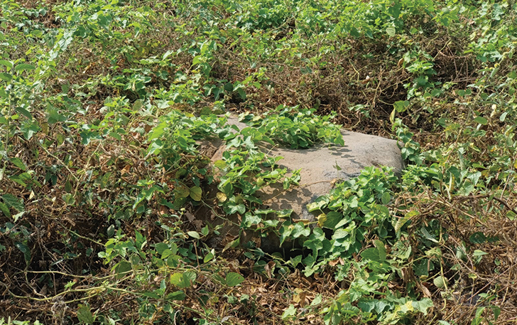SIMPAN MISTERI: Watu leter di perkebunan tebu Dusun Tengklik, Desa/Kecamatan Polokarto, Kabupaten Sukoharjo.