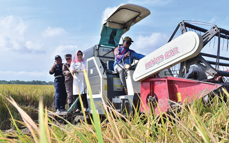PEMIHAKAN: Bupati Sukoharjo Etik Suryani panen padi di Desa Majasto, Kecamatan Tawangsari, belum lama ini.