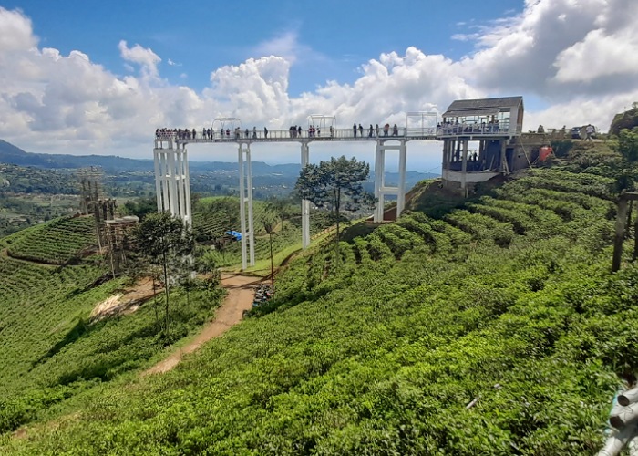 Hamparan kebun teh di Kemuning, Ngargoyoso, yang sebagian dikembangkan menjadi kawasan wisata.