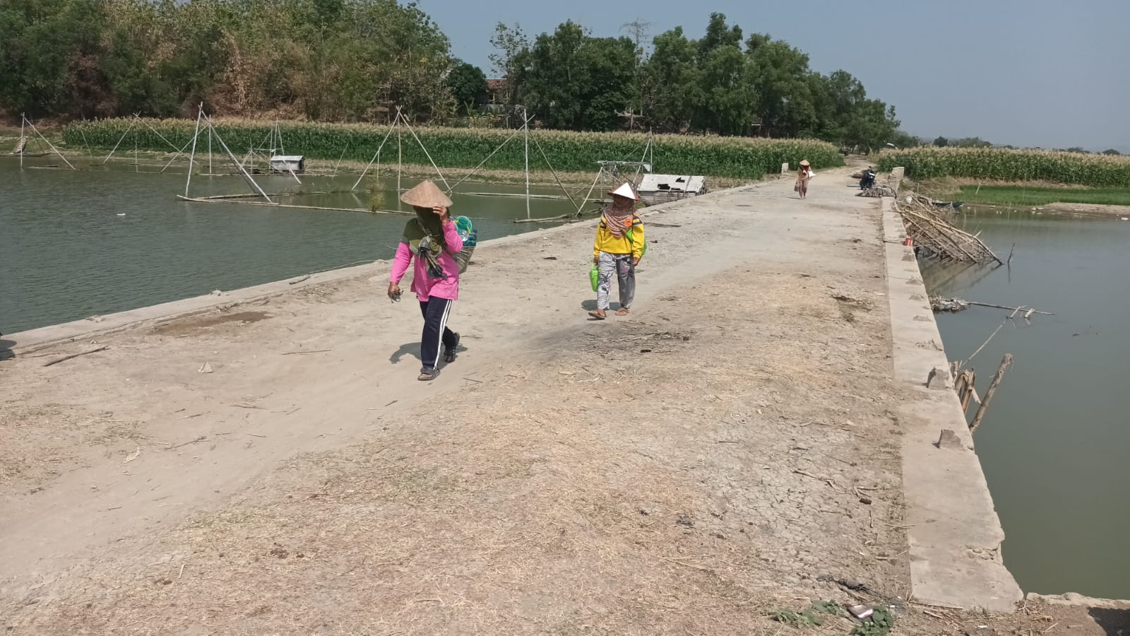 Warga melintasi Jembatan Klewor, Senin (28/8/2023). Jembatan ini muncul ke permukaan setelah debit air Waduk Kedung Ombo di Kecamatan Kemusu, Boyolali menyusut drastis. (RAGIL LISTIYO/RADAR SOLO)