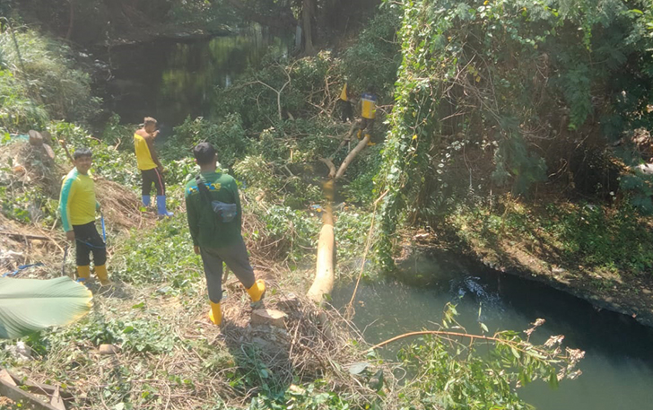 KERJA KERAS: Pencarian ular di sungai samping asrama mahasiswa putri UMS, Pabelan, Kartasura, kemarin (28/8).