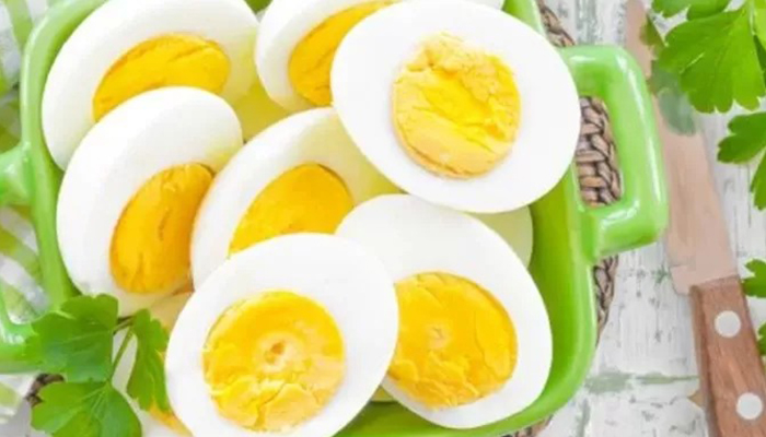 Makanan dengan kandungan protein tinggi dianjurkan bagi penderita tipus.