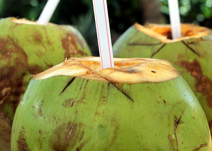 Ilustrasi air kelapa