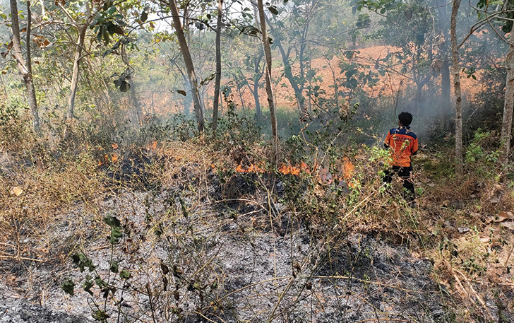 Pemadaman kebakaran lahan di selatan Perumahan Griya Mukti Dusun Bulusari RT 04 RW 03, Desa Bulusulur, Kecamatan Wonogiri Kota, Selasa (12/9).