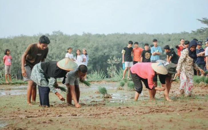 BERANI KOTOR: Wisatawan belajar menanam padi di Desa Wisata Sumberbulu, Pendem, Kecamatan Mojogedang, Kabupaten Karanganyar.