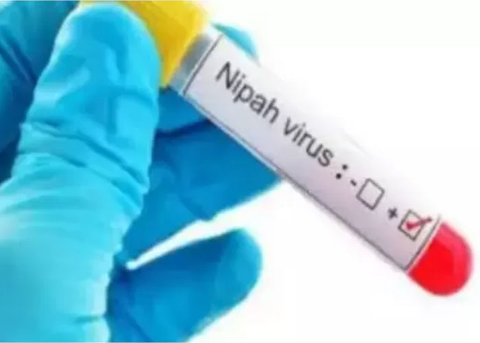 Ilustrasi virus Nipah mulai menyebar di India.