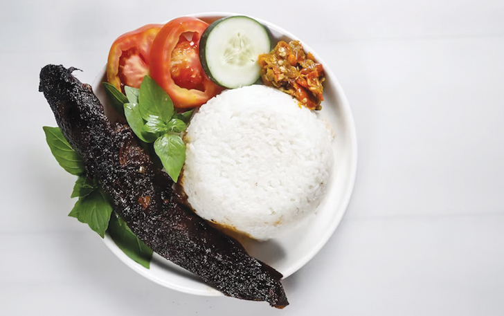 Ilustrasi menu makan Ikan Lele