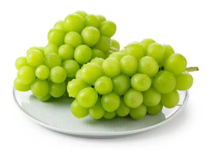 Anggur shine muscat