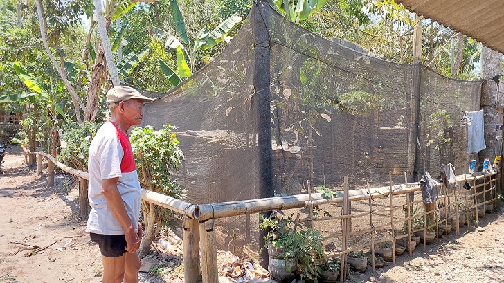 Warga Dusun Tegalsari, Desa Lampar, Kecamatan Tamansari, Kabupaten Boyolali memasang jaring untuk melindungi tanaman dari serangan monyet ekor panjang.
