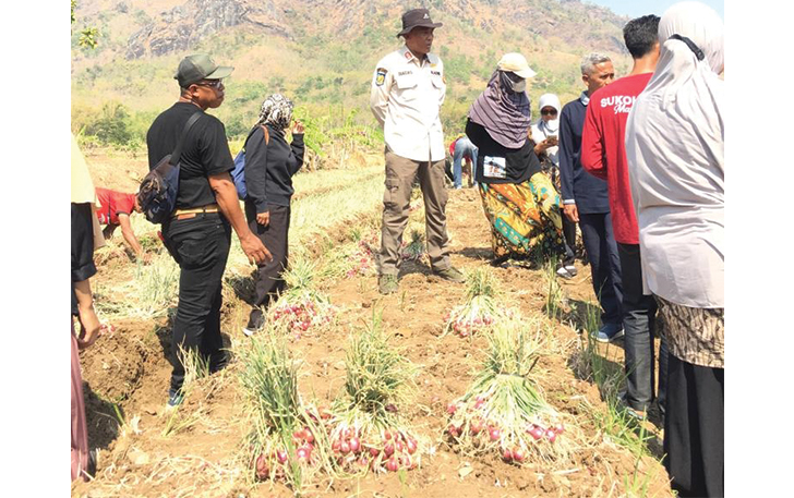 POTENSIAL: Kepala Dinas Pertanian dan Perikanan Sukoharjo Bagas Windaryatno dampingi petani milenial tanam bawang merah.
