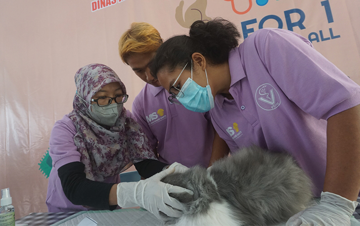 ANTISIPASI: Pelaksanaan vaksinasi rabies terhadap kucing dan anjing di Kantor Dinas Ketahanan Pangan dan Pertanian (DKPP) Klaten, Sabtu (7/10).